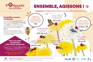 Vers le téléchargement des panneaux de "L'Odysssée des abeilles"